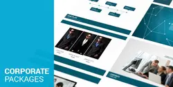 Videohive Corporate Package 5266971