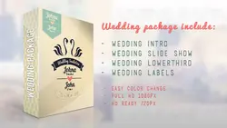 Videohive Wedding Package 5999693