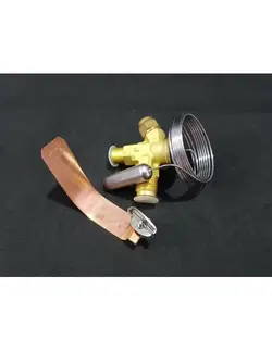 شیر انبساط دانفوس مدل TEX2 با MOP -20C