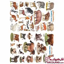 برچسب آموزشی مدل حیوانات اهلی و حیوانات وحشی - فروشگاه اینترنتی فارکولند