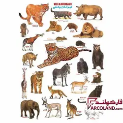 برچسب آموزشی مدل حیوانات وحشی - فروشگاه اینترنتی فارکولند