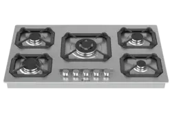 گاز صفحه ای داتیس مدل DS-513