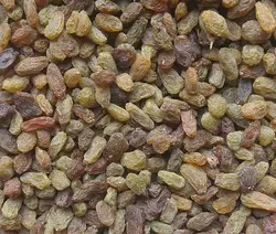 کشمش سبز سایه خشک