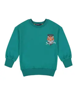 سویشرت پسرانه سبز تودوک TwoDook کد 6137