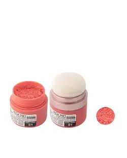 رژگونه پودری رز بری Rose Berry شماره 01