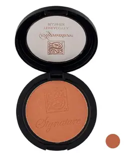 رژگونه سیگنیچر Signature شماره 66 حجم 10 گرم