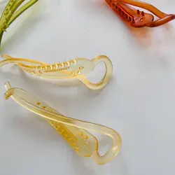 کلیپس مسافرتی آبشاری ساده