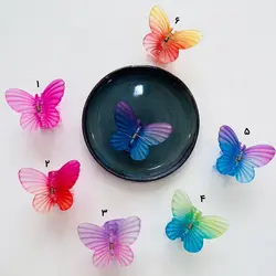 کلیپس پروانه رنگین کمانی