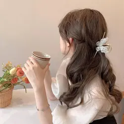 کلیپس فلزی روبانی پروانه سنگ و نگین