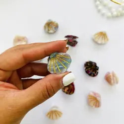 مینی کلیپس صدفی