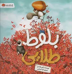 بلوط طلایی (گلاسه)(مهرسا)