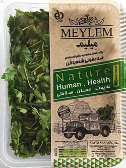 گشنیز