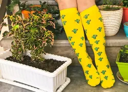 جوراب ساق بلند زیر زانو طرح کاکتوس