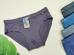 شورت مردانه اسلیپ 🧶گیاهی اعلا 📏سایزFree | عمده | 12 تایی | کد : 3502 - فروشگاه ساق بلند فروش عمده لباس زیر و جوراب