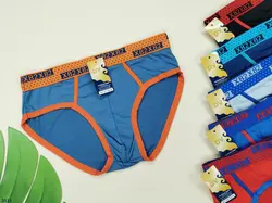 شورت مردانه اسلیپ 🧶گیاهی 📏سایزFree | عمده | 12 تایی | کد : 3511 - فروشگاه ساق بلند فروش عمده لباس زیر و جوراب