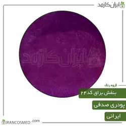خرید و قیمت رنگ پودری صدفی بنفش کد24 - وزن 20گرمی (ایرانکازمد)