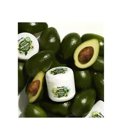 ماسک مو مغذی آووکادو اینکتو(Inecto)نارگیل حجم 300میلی لیتر