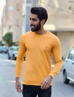 بلوز مردانه Polo مدل 33679