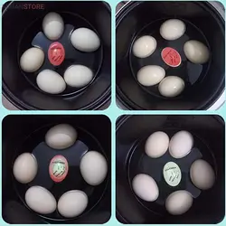 تایمر پخت تخم مرغ