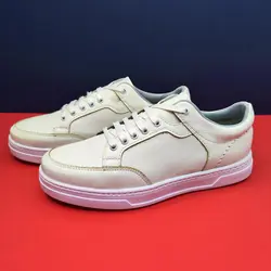 کفش اسپرت مردانه ونس رنگبندی شاد در کرج