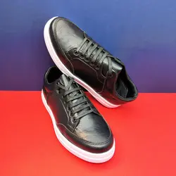 کفش اسپرت مردانه ونس رنگبندی شاد در کرج