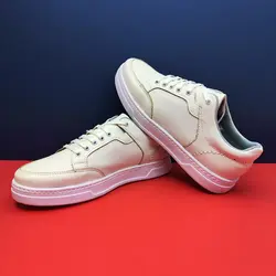 کفش اسپرت مردانه ونس رنگبندی شاد در کرج