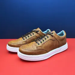 کفش اسپرت مردانه ونس رنگبندی شاد در کرج