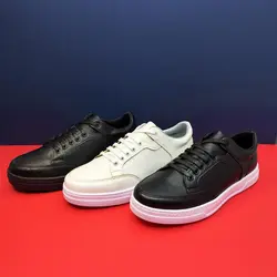 کفش اسپرت مردانه ونس رنگبندی شاد در کرج