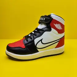 کتونی جردن بچه گانه درکرج