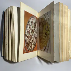 هنر آشپزی اثر رزا منتظمی