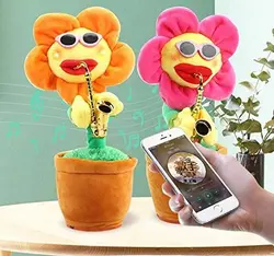 گل آفتابگردان موزیکال dancing musical flower