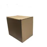 ماگ مدل کاکتوس طبیعی کد N3