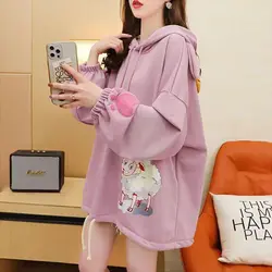 هودی بره ای کلاهدار  7697