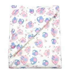 پتو کلاهدار مخمل نوزاد دولانو مدل حیوانات Dolano