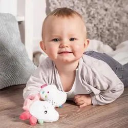 عروسک جغجغه حلقه دار طرح حیوانات بی بی فن Baby Fehn