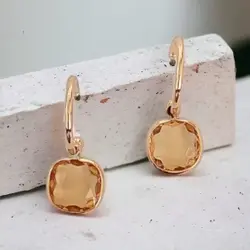 گوشواره زنانه نگین دار مدل SE1031