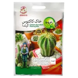 خاک کاکتوس گیلدا