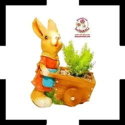 گیاه دم روباهی در گلدان خرگوشی