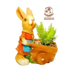 گیاه دم روباهی در گلدان خرگوشی