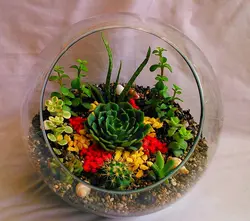 تراریوم سایز متوسط