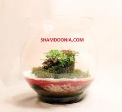 تراریوم طرح عروسى