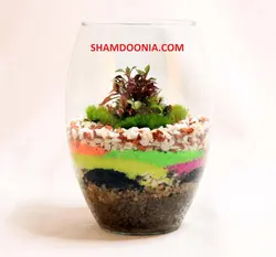 تراریوم طرح قدم نورسيده