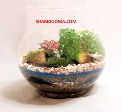 تراریوم طرح نامزدى