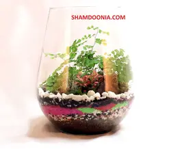 تراریوم طرح آشتى