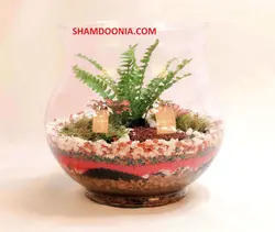 تراریوم طرح فارغ التحصيلى