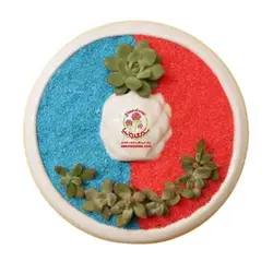 دیشگاردن ساکولنت کد 114