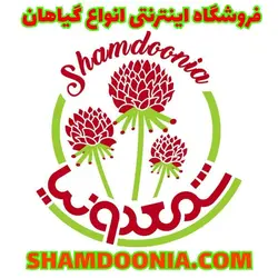 گلدان طرح کوهستان با گیاه سرخس