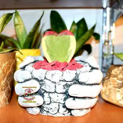 گلدان طرح دست