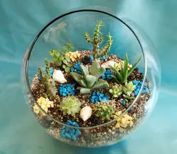 تراریوم سایز متوسط