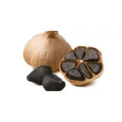 بهترین کیفیت سیر سیاه فراوری شده تازه کاملا بهداشتی 200 گرم